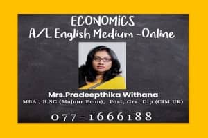 Economics English Medium